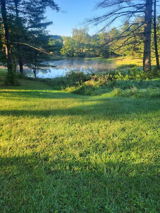 Under the Stars Campground Picture 2