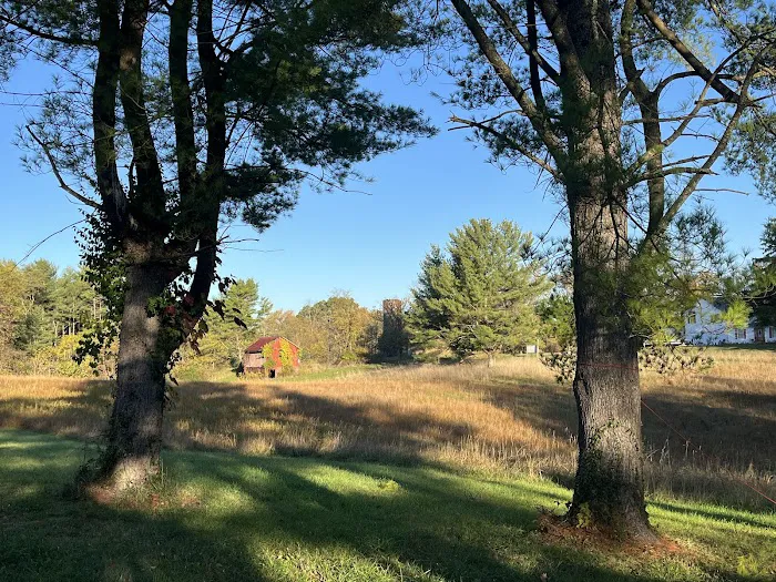 Under the Stars Campground Picture 8