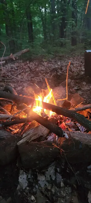 Zeleski State Forest Camp 3 - Secluded Camp Site Picture 1