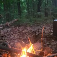 Zeleski State Forest Camp 3 - Secluded Camp Site ico