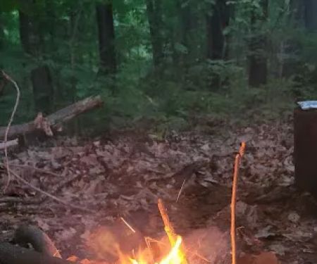 Zeleski State Forest Camp 3 - Secluded Camp Site