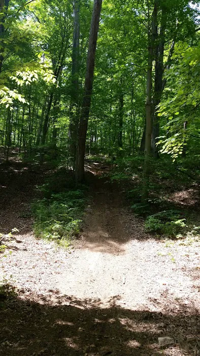 Begley’s Campground Picture 7