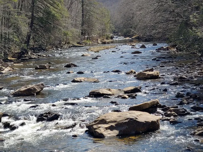 Big Rock Campground Picture 8