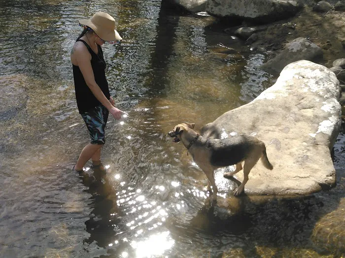 Big Rock Campground Picture 9