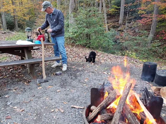 Big Rock Campground Picture 10