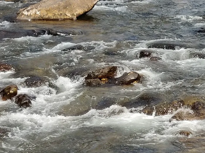 Big Rock Campground Picture 3