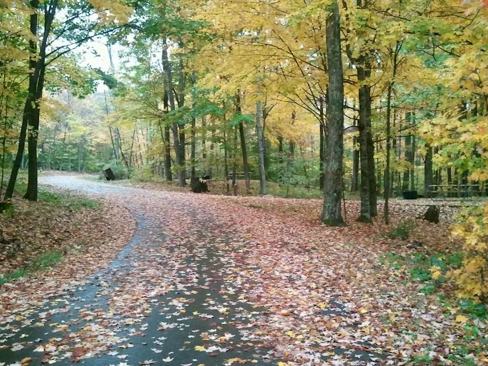 Summit Lake Campground Picture 4