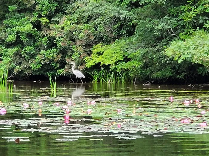 Summit Lake Campground Picture 10