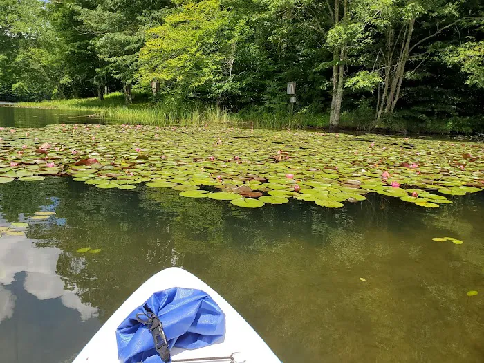 Summit Lake Campground Picture 3