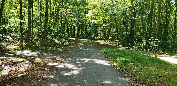 Summit Lake Campground Picture 6