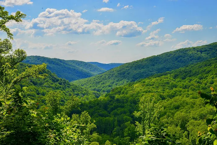 Summit Lake Campground Picture 7