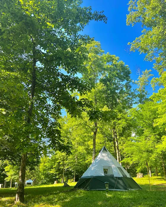 Mountain Lake Campground and Cabins Picture 9