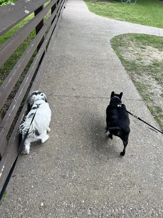 Long Point Cabins & RV Picture 6