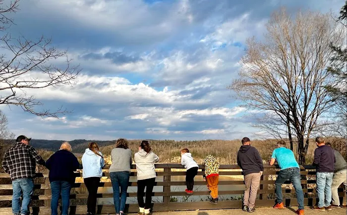 Long Point Cabins & RV Picture 5
