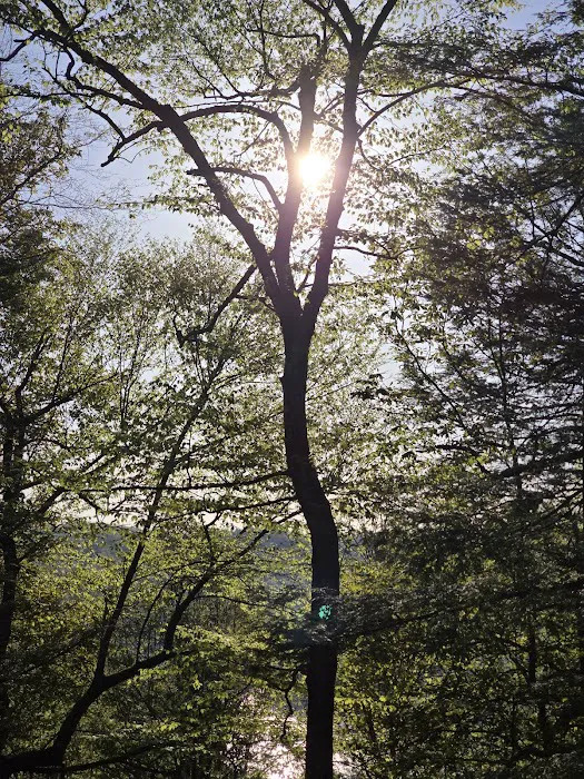 Long Point Cabins & RV Picture 7