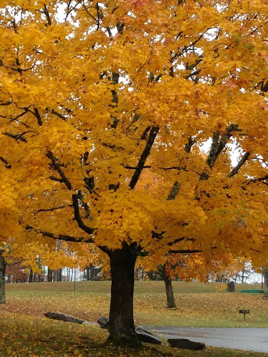 US Army Corps of Engineers Picture 8