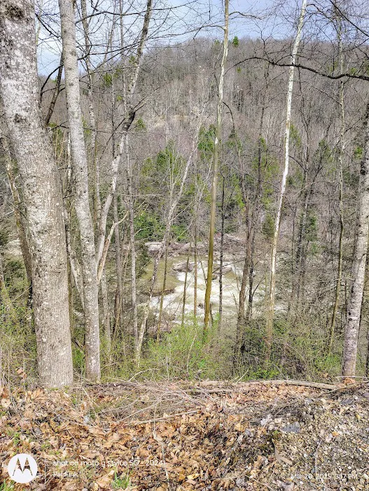 Gauley Tailwaters Campground Picture 6