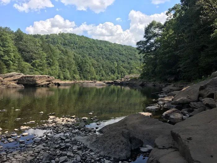 Gauley Tailwaters Campground Picture 3