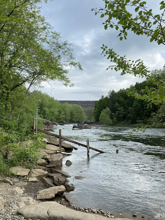 Gauley Tailwaters Campground Picture 8