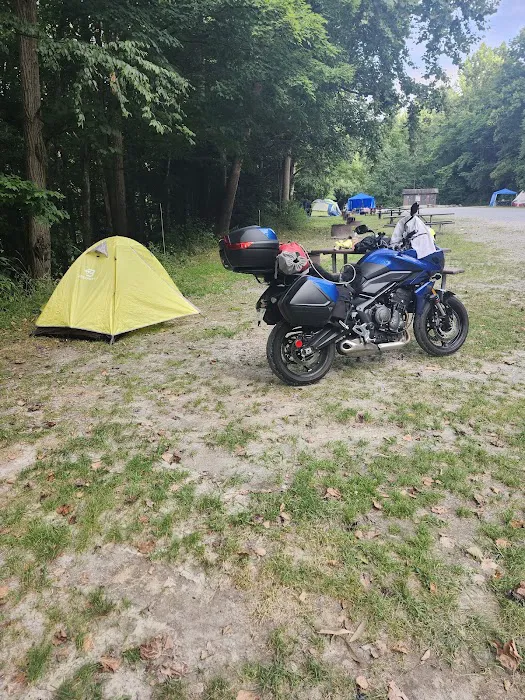 Gauley Tailwaters Campground Picture 10