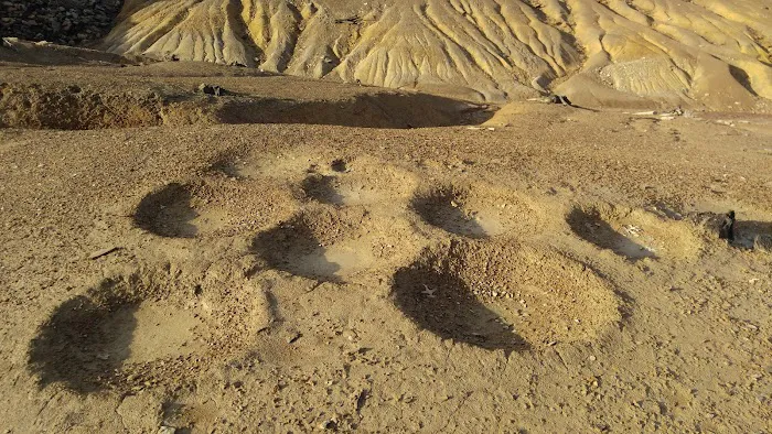 Battle Run Campground Picture 10