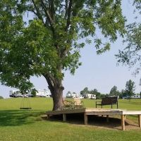 Mountain Top RV Park & Cabins ico