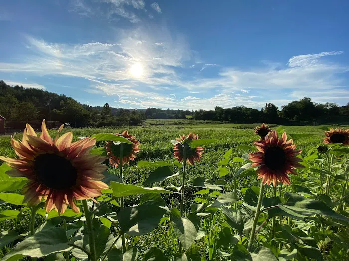 Crooked Mountain Picture 6