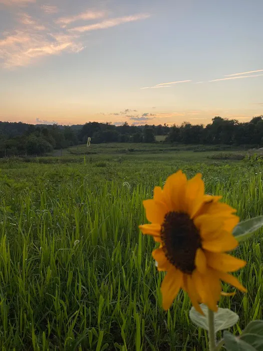 Crooked Mountain Picture 1