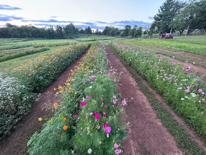 Crooked Mountain Picture 5