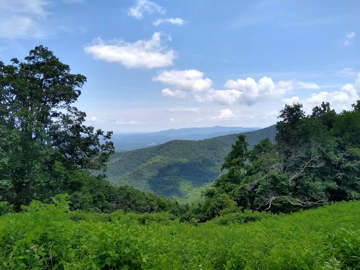 Rocky Knob Campground Picture 3