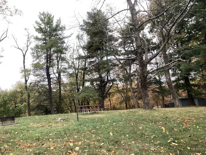 Rocky Knob Campground Picture 8