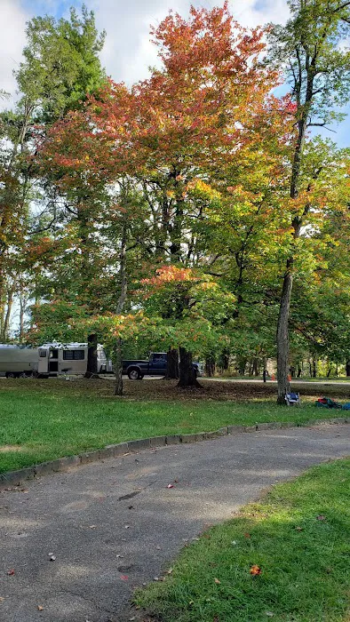 Rocky Knob Campground Picture 7