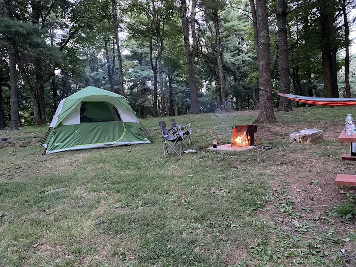 Rocky Knob Campground Picture 9
