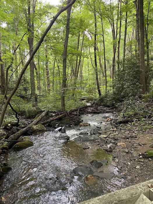 Rocky Knob Campground Picture 6