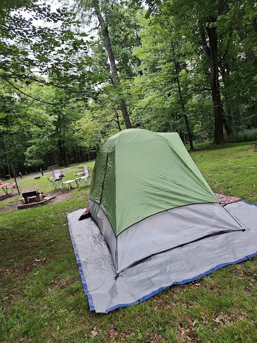 Rocky Knob Campground Picture 4