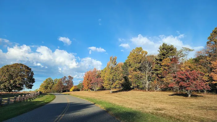 Rocky Knob Recreation Area Picture 2