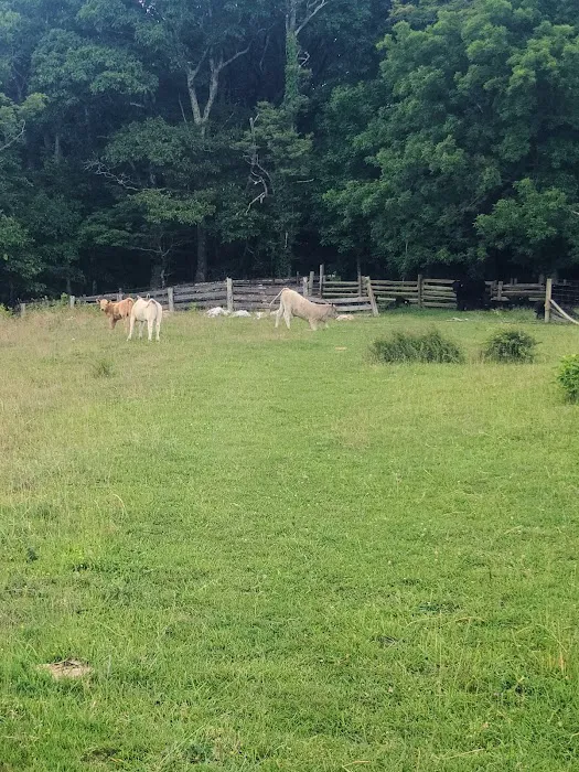 Rocky Knob Recreation Area Picture 6