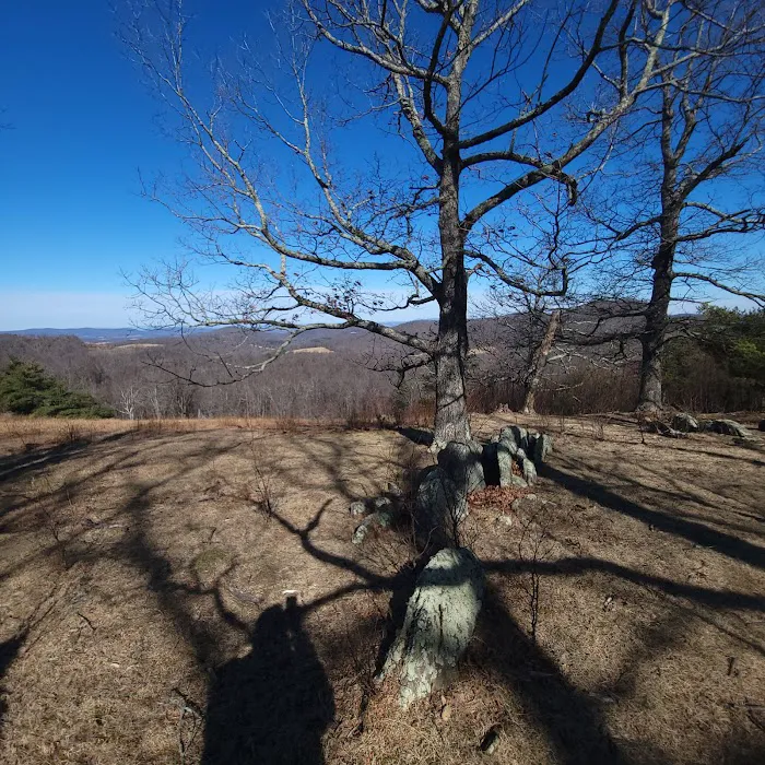 Rocky Knob Recreation Area Picture 10