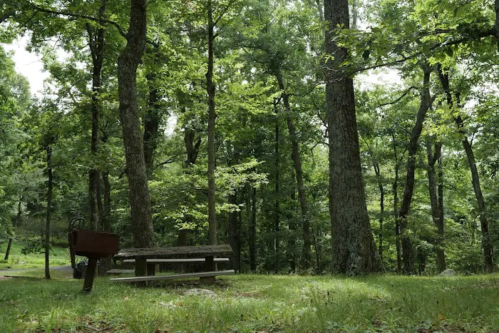 Rocky Knob Recreation Area Picture 1