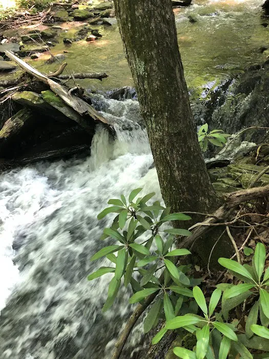 Rocky Knob Recreation Area Picture 4