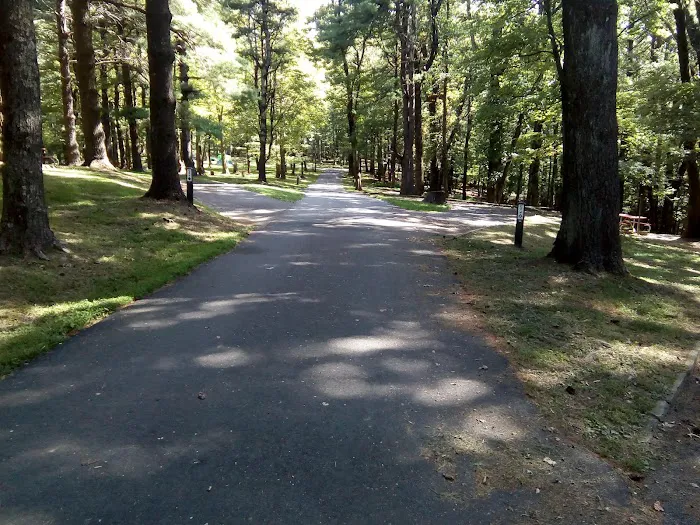 Blue Ridge Parkway Rocky Knob Information Center Picture 6