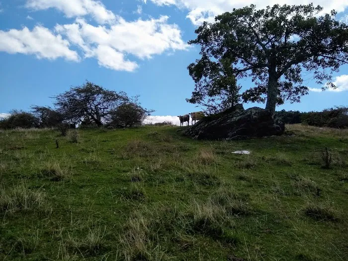 Blue Ridge Parkway Rocky Knob Information Center Picture 7