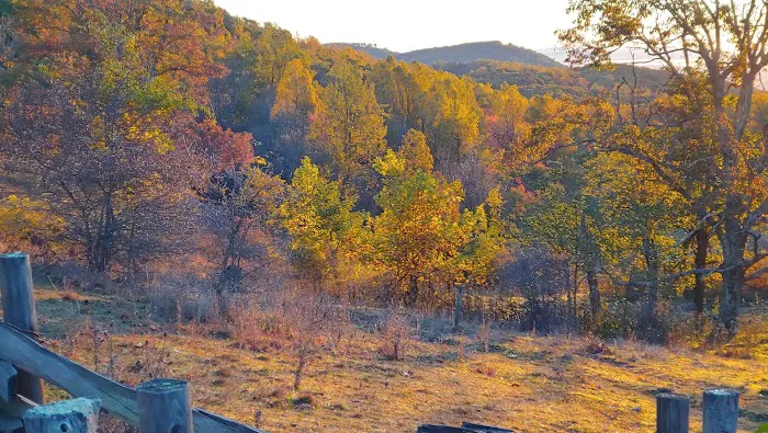Blue Ridge Parkway Rocky Knob Information Center Picture 8
