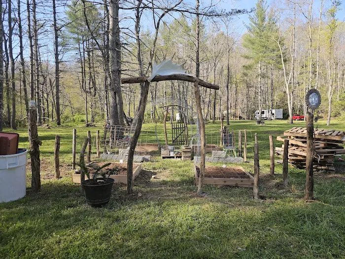 Hippie Hollow Picture 4