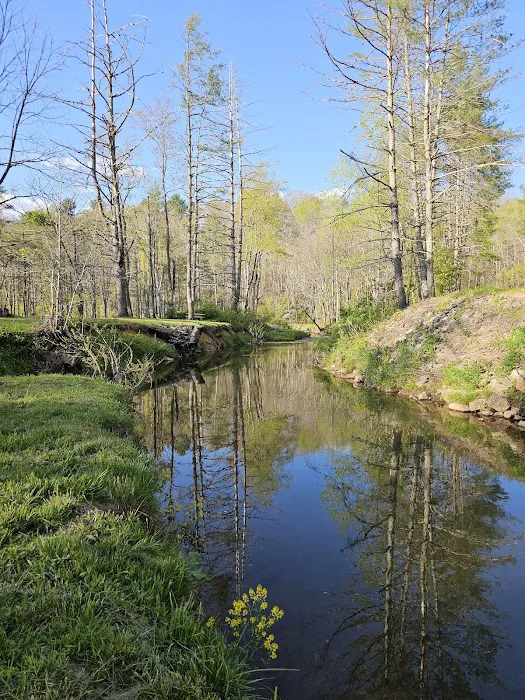 Hippie Hollow Picture 2