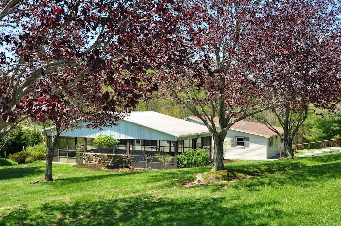 Virginia Highland Haven Airstream Park Picture 4