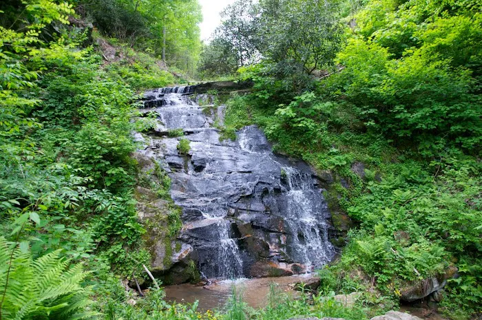 Virginia Highland Haven Airstream Park Picture 5