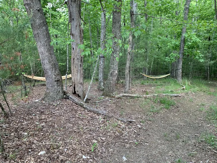 Camp Creek at Little River Farm Picture 5