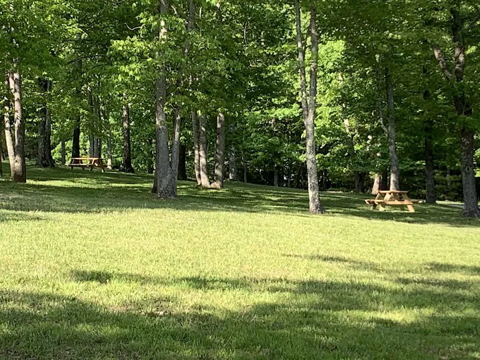 Camp Creek at Little River Farm Picture 10