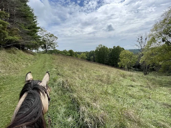Camp Creek at Little River Farm Picture 6